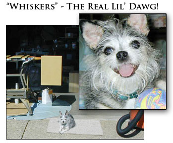 Lil Dawg amp close-up